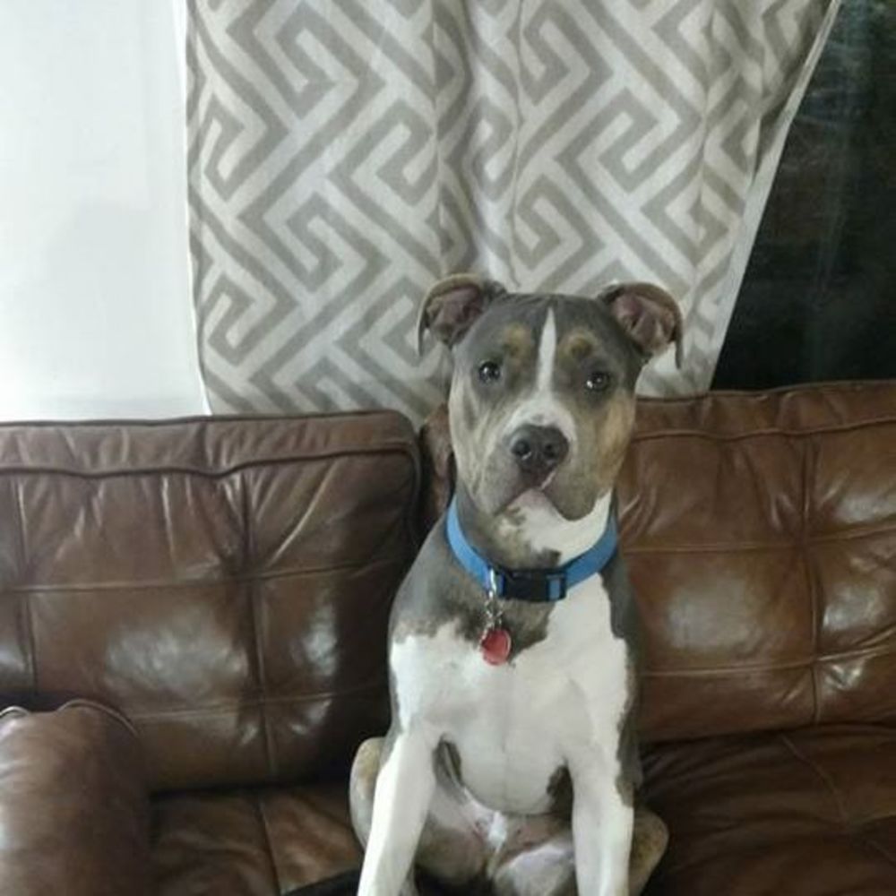 Meet your Posher, Natalija